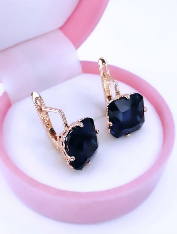 Earrings C2407