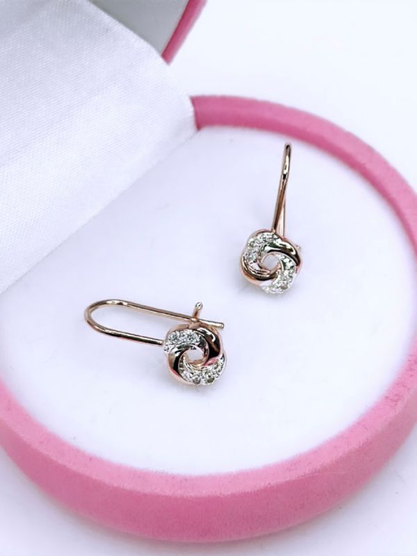 Earrings C0646