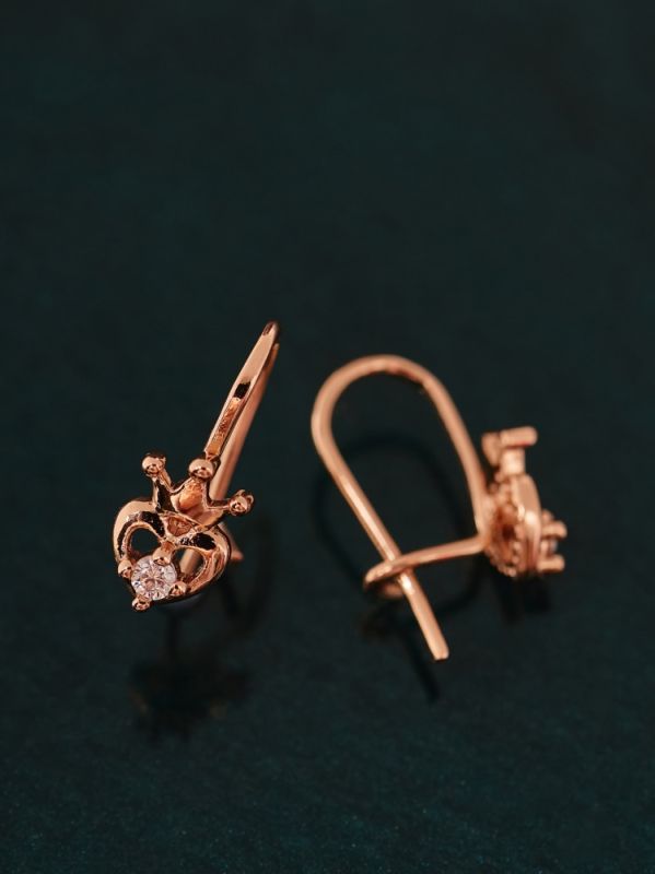 Earrings C0549