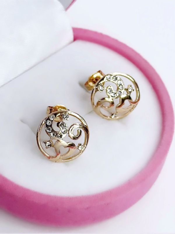 Earrings C0587