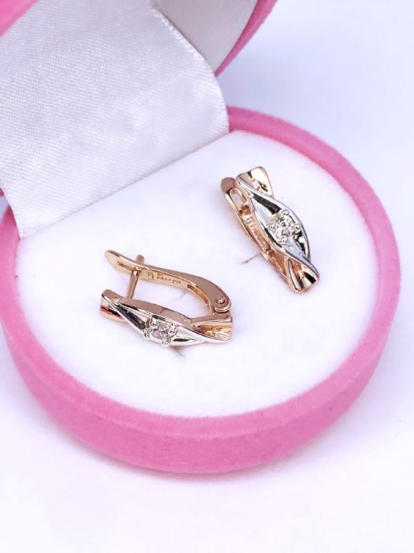 Earrings C0556