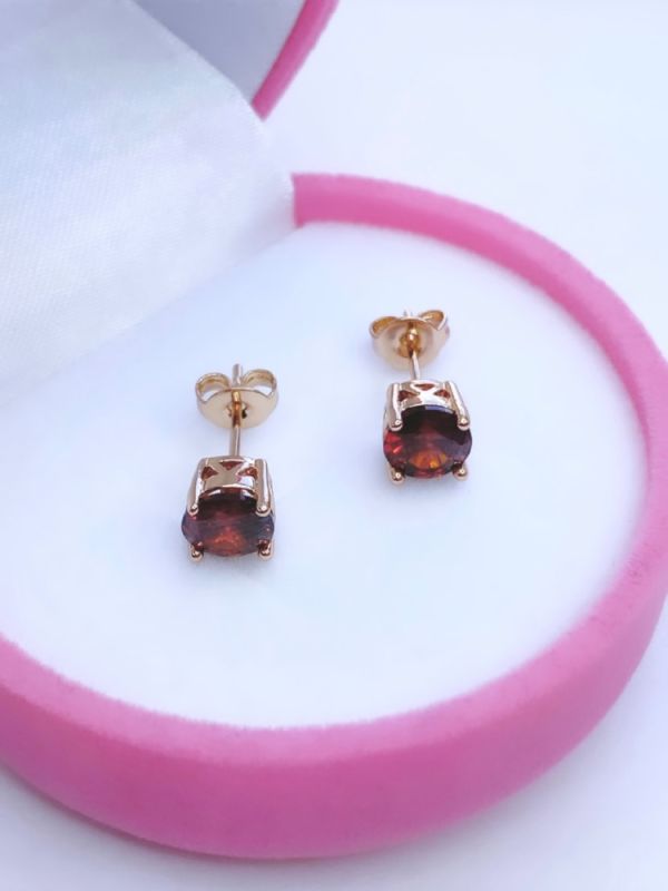 Earrings C0598