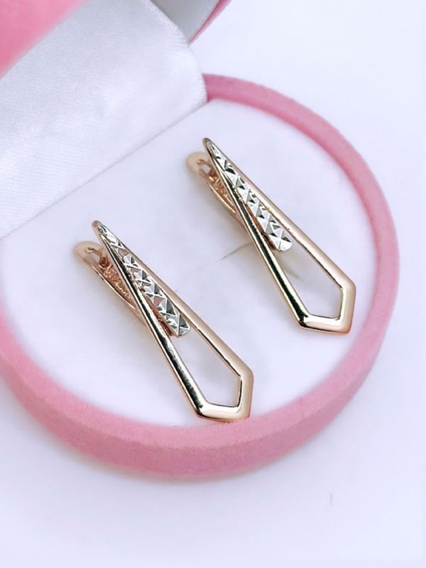 Earrings C0630