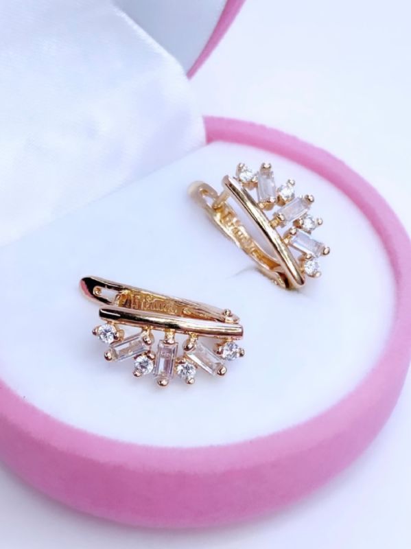 Earrings C0596