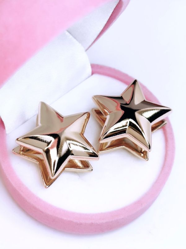 Earrings C0622