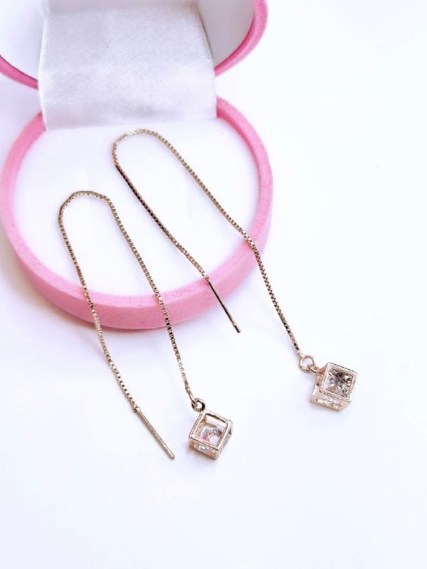 Earrings C0654