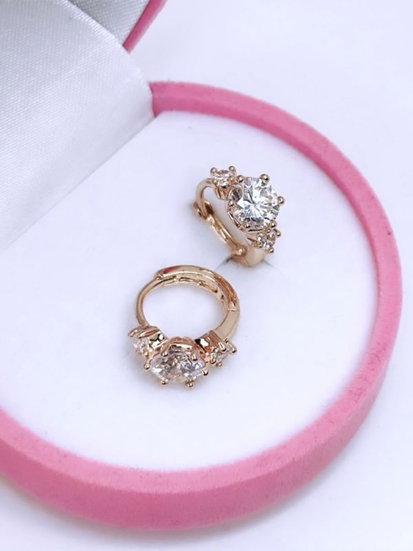 Earrings C0638