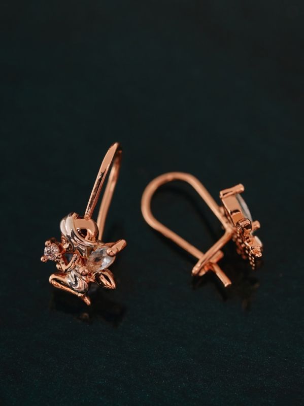 Earrings C0552