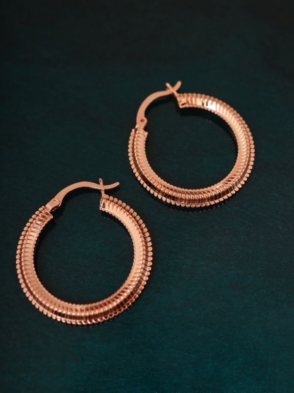 Earrings C0642